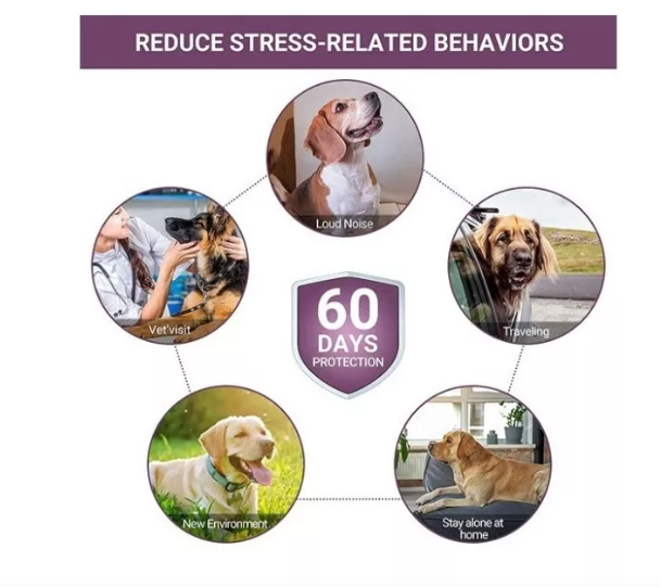 Collar calmante para mascotas